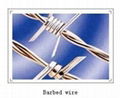 Razor barbed wire 3