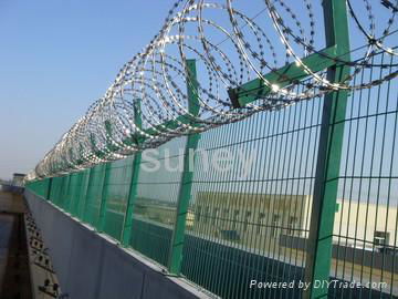 razor wire  5