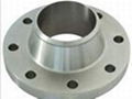 stainless steel flange