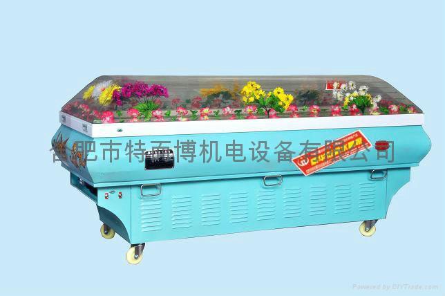 TEB-4型弧型冷藏棺