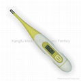 Digital Thermometer 1