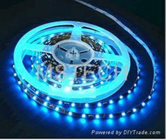 5050 LED Strip Light (MS-SL5050)