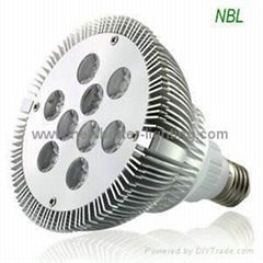  PAR30 10W LED PAR Light