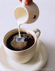 Non-dairy Creamer for Coffee