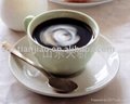 Non-dairy Creamer for Coffee 2