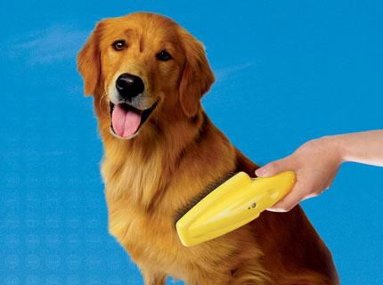 Ionic Pet Cleaning Brush 2