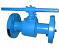 Forged Floating Ball Valve