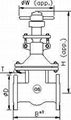 Cast Steel Gate Valve Class 150 2