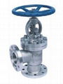 Y Type Angle Globe Valve