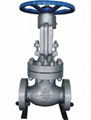 API Globe Valve 900/15000/2500lb