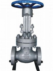 API Globe Valve 900/15000/2500lb Pressure-Seal