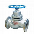 Plunger Globe Valve 1