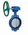 Wafer Wormed Soft Seal Butterfly Valve 1