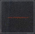 Black Granite Slabs and Tiles