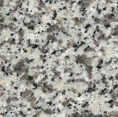 Granite Slabs and Tiles 3