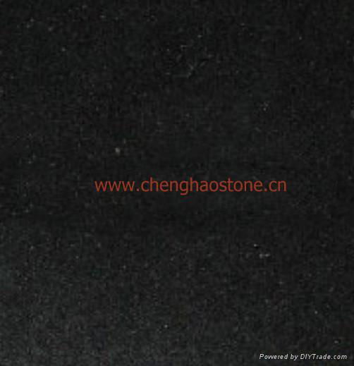 Black Granite Slabs and Tiles 3