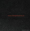 Black Granite Slabs and Tiles 3