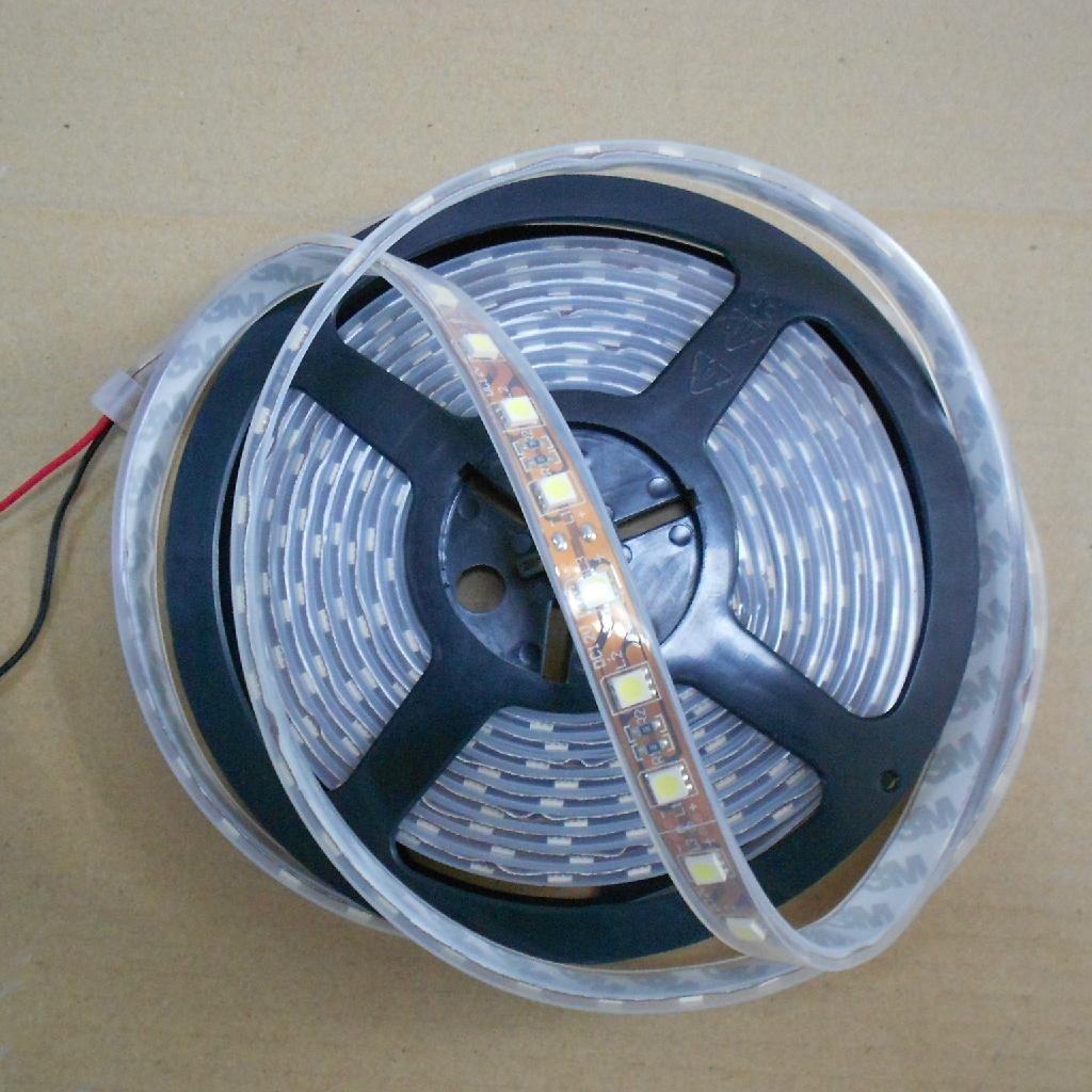 white light LED flexible soft strip SMD5050 60 LEDS per metter