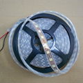 white light LED flexible soft strip SMD5050 60 LEDS per metter 1