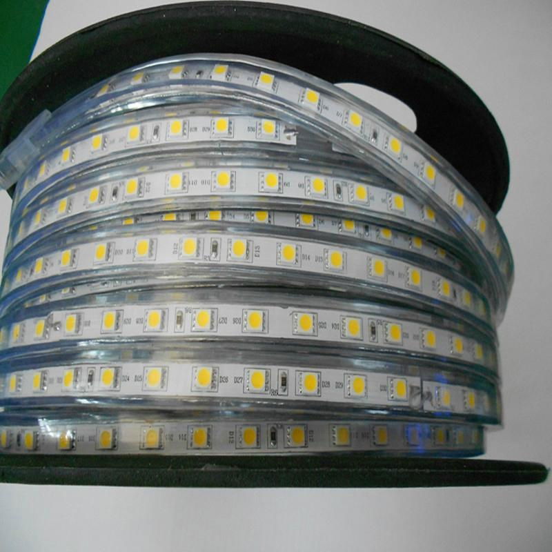 high voltage SMD5050 LED soft flexible strip