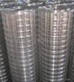 hexagonal  wire mesh 2