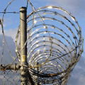 Razor barbed wire fence