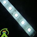 LED rigid bar 5