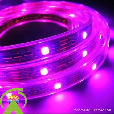 LED flexible strip 2