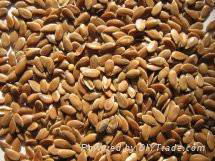 Sell Flax seed,Linseeds