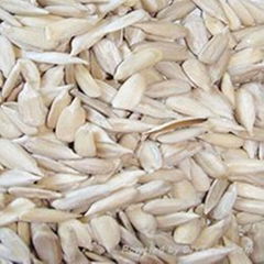 Sunflower seeds Kernel