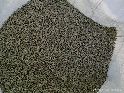 Hempseeds