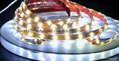 LED stripe light