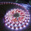 LED stripe light 2