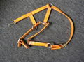 horse bridle -TPU horse bridle 1