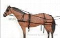 horse bridle -TPU horse bridle 4