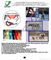 skijoring equipment accessories