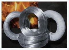 Annealed wire