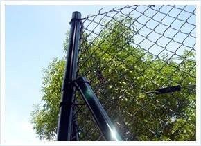 Chain link fence 5