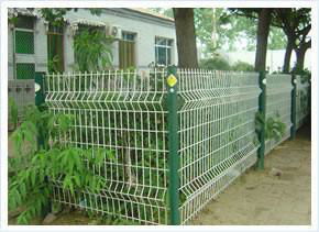 Bilateral fence 3