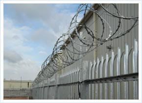 Razor wire 4