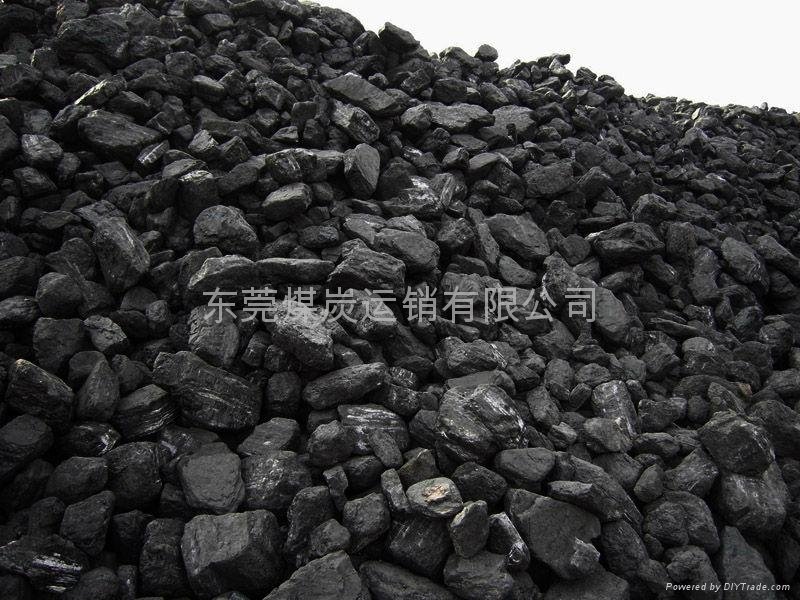 惠州煤炭供应 3
