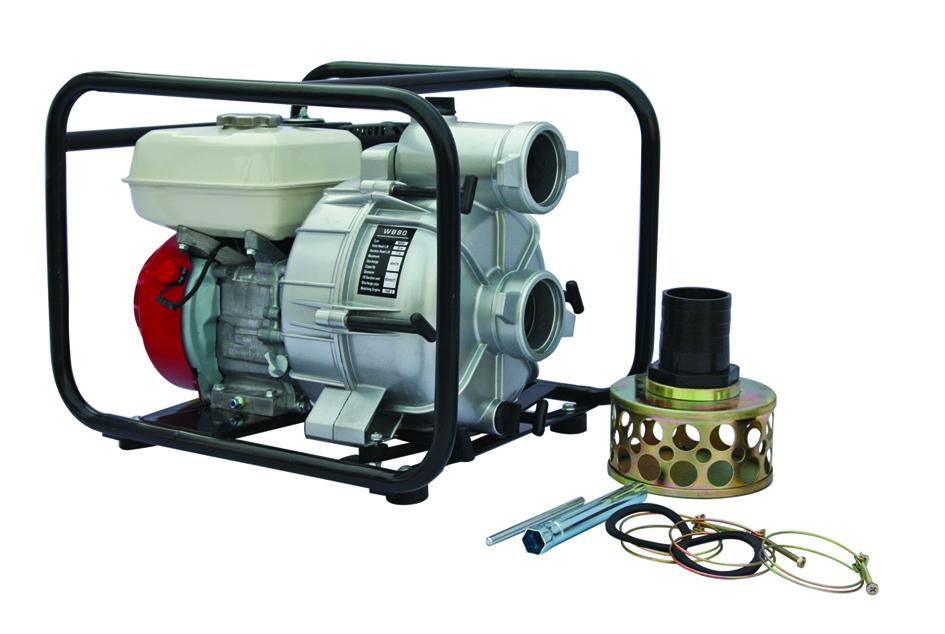 Sewage sludge Water Pump 