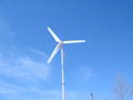 300W风力发电机