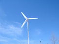 300W Wind Generator