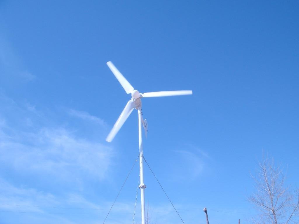 800W Street light wind generator