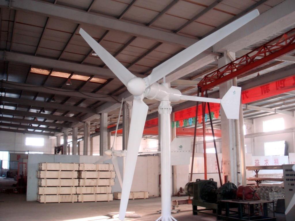 2000W Micro wind turbines 2