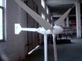 300W家用型風力發電機