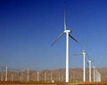 Wind power bearing 1