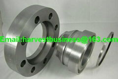 Swivel Ring Flange