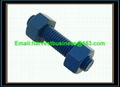 Teflon Stud Bolts Nuts 1